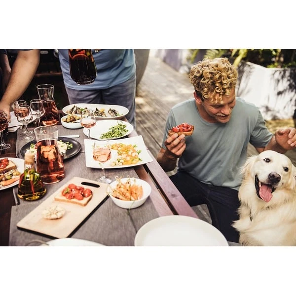 Campingaz Attitude 2100 EX, Gasgrill – Bild 18