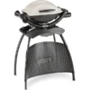 Weber Gasgrill Q 1000 Stand Titan